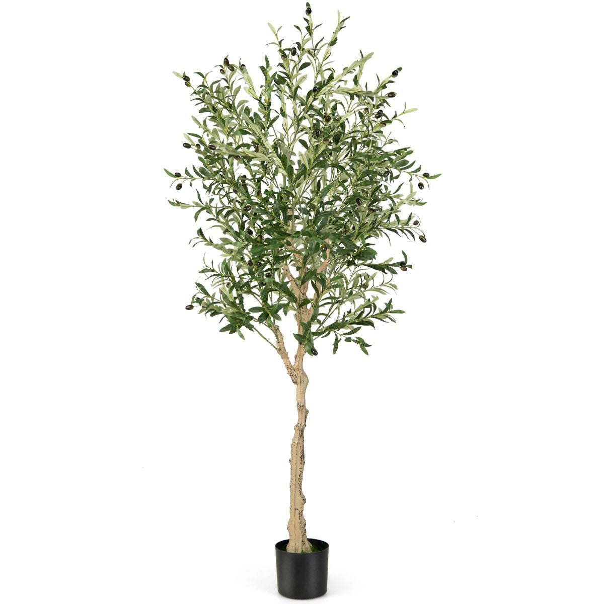 Ulivo Artificiale 182Cm Con 1296 Foglie 72 Frutti, Ulivo Finto in Vaso Di Cemento per Ufficio Casa