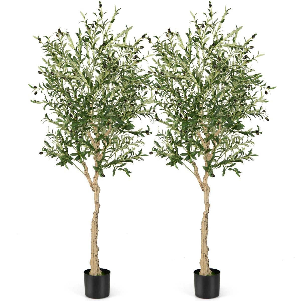 Ulivo Artificiale 182Cm Con 1296 Foglie 72 Frutti, Ulivo Finto in Vaso Di Cemento per Ufficio Casa