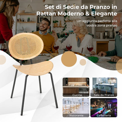 Set Di 2 Sedie Da Pranzo in Rattan Con Gambe in Metallo Seduta in Compensato, Sedie Boho Portata 140Kg Naturale